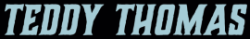 Teddy Logo Small